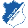 1899 Hoffenheim logo