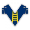 Verona logo
